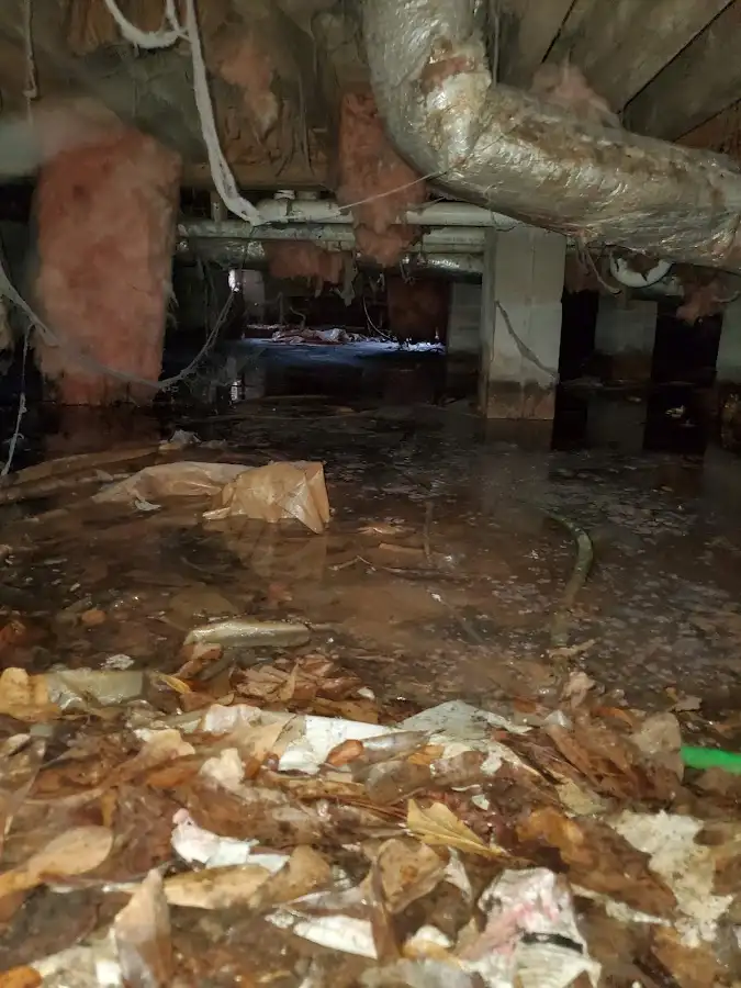 Crawl space flood assessment for Leak Detection & Repair in Margaret