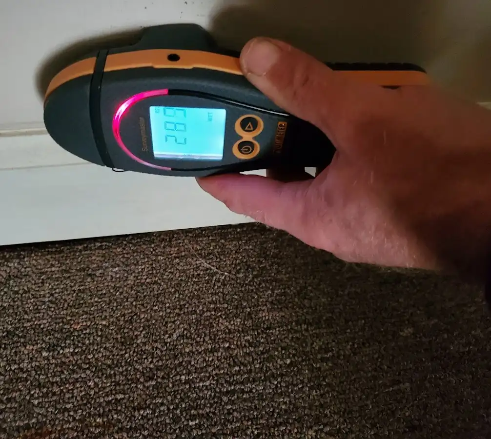 Moisture detection at baseboard during Sewage Cleanup & Sanitation in Margaret